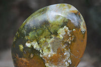 Polished Green Opal Standing Free Forms  x 3 From Madagascar - Toprock Gemstones and Minerals 