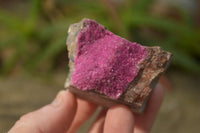 Natural Salrose Cobaltion Dolomite Specimens x 12 From Kakanda, Congo