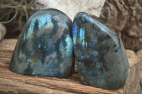 Polished Flashy Labradorite Standing Free Forms  x 3 From Tulear, Madagascar - TopRock