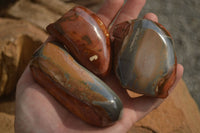 Polished One Side Polished Polychrome Jasper Nodules  x 12 From Mahajanga, Madagascar