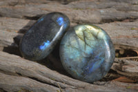 Polished Labradorite Palm Stones  x 20 From Tulear, Madagascar