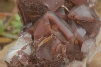 Natural Red Hematoid Quartz Specimen x 1 From Karoi, Zimbabwe - TopRock