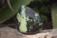 Polished  Green Leopard Stone Free Forms  x 6 From Zimbabwe