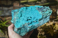 Natural Silica Chrysocolla Specimen x 1 From Congo