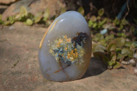 Polished Agate Standing Free Forms x 3 From Madagascar