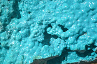 Natural Silica Chrysocolla Specimen x 1 From Congo