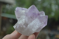 Natural Jacaranda Amethyst Clusters  x 3 From Mumbwa, Zambia - Toprock Gemstones and Minerals 