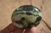 Polished Spotted Leopard Stone Free Forms  x 12 From Zimbabwe