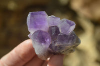 Natural Dark Amethyst Crystal Clusters  x 12 From Zambia