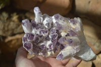 Natural Sugar Amethyst Clusters  x 2 From Zambia