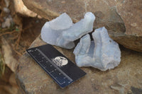 Natural Etched Blue Chalcedony Specimens  x 12 From Nsanje, Malawi