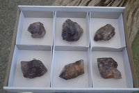 Natural New Window Amethyst Crystals  x 6 From KZN, South Africa - Toprock Gemstones and Minerals 