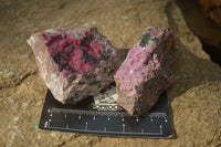 Natural Salrose Cobaltion Dolomite Specimens x 12 From Kakanda, Congo