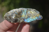 Natural Small Labradorite Cobbed Specimens  x 35 From Tulear, Madagascar - Toprock Gemstones and Minerals 