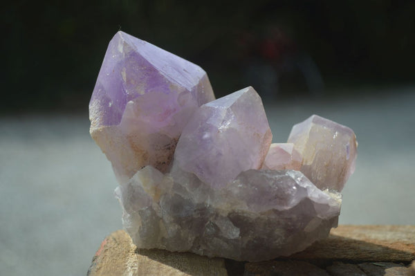 Natural Jacaranda Amethyst Clusters  x 3 From Zambia - Toprock Gemstones and Minerals 