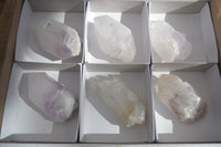 Natural Large Brandberg Amethyst Quartz Crystals x 6 From Brandberg, Namibia