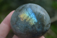 Polished Blue & Gold Labradorite Palm Stones  x 12 From Tulear, Madagascar - Toprock Gemstones and Minerals 