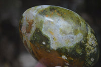 Polished Green Opal Standing Free Forms  x 3 From Madagascar - Toprock Gemstones and Minerals 