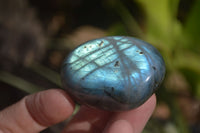 Polished Labradorite Palm Stones  x 20 From Tulear, Madagascar