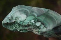 Natural Large Chatoyant Silky Malachite Specimen x 1 From Kasompe, Congo - Toprock Gemstones and Minerals 