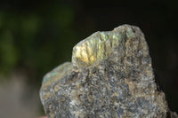 Natural Small Labradorite Cobbed Specimens  x 35 From Tulear, Madagascar - Toprock Gemstones and Minerals 