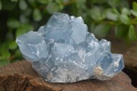 Natural Blue Celestite Crystal Specimens  x 3 From Sakoany, Madagascar - Toprock Gemstones and Minerals 