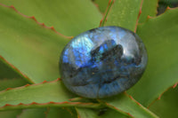 Polished Blue & Gold Labradorite Palm Stones  x 12 From Tulear, Madagascar - Toprock Gemstones and Minerals 