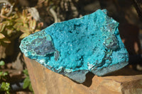 Natural Silica Chrysocolla Specimen x 1 From Congo