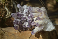 Natural Sugar Amethyst Clusters  x 2 From Zambia