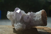 Natural Jacaranda Amethyst Clusters  x 3 From Zambia - Toprock Gemstones and Minerals 