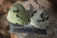 Polished Spotted Leopard Stone Free Forms  x 12 From Zimbabwe