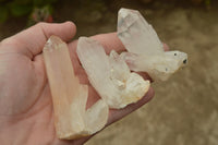 Natural Small Mixed Quartz Clusters & Crystals  x 24 From Madagascar - TopRock