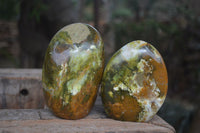 Polished Green Opal Standing Free Forms  x 3 From Madagascar - Toprock Gemstones and Minerals 