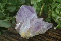 Natural Jacaranda Amethyst Clusters  x 3 From Mumbwa, Zambia - Toprock Gemstones and Minerals 