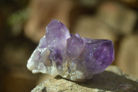 Natural Dark Amethyst Crystal Clusters  x 12 From Zambia