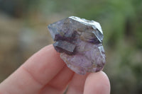 Natural Window Amethyst Crystal Specimens  x 12 From Chiredzi, Zimbabwe