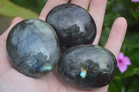 Polished Blue & Gold Labradorite Palm Stones  x 12 From Tulear, Madagascar - Toprock Gemstones and Minerals 