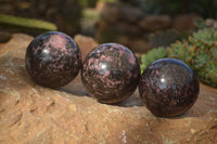 Polished  Pink & Black Rhodonite Spheres x 3 From Madagascar