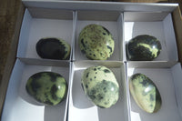 Polished Spotted Leopard Stone Gallets  x 6 From Zimbabwe