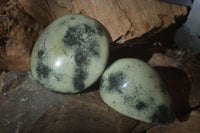 Polished Spotted Leopard Stone Free Forms  x 12 From Zimbabwe