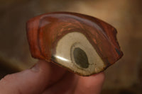 Polished One Side Polished Polychrome Jasper Nodules  x 12 From Mahajanga, Madagascar