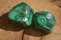 Polished Flower Malachite Free Forms  x 6 From Congo - Toprock Gemstones and Minerals 