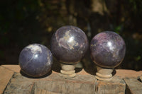 Polished Purple Lepidolite Spheres  x 3 From Zimbabwe - Toprock Gemstones and Minerals 