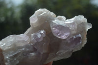 Natural Jacaranda Amethyst Clusters  x 3 From Zambia - Toprock Gemstones and Minerals 