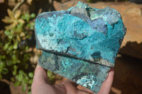 Natural Silica Chrysocolla Specimen x 1 From Congo