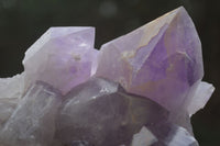 Natural Jacaranda Amethyst Clusters  x 2 From Zambia - Toprock Gemstones and Minerals 