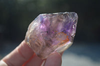 Natural New Window Amethyst Crystals  x 6 From KZN, South Africa - Toprock Gemstones and Minerals 