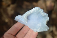 Natural Etched Blue Chalcedony Specimens  x 12 From Nsanje, Malawi