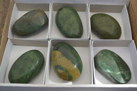 Polished Green Verdite Free Forms x 6 From Zimbabwe