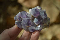 Natural Dark Amethyst Crystal Clusters  x 12 From Zambia